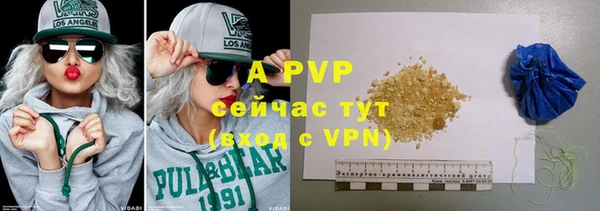 ГАЛЛЮЦИНОГЕННЫЕ ГРИБЫ Верея