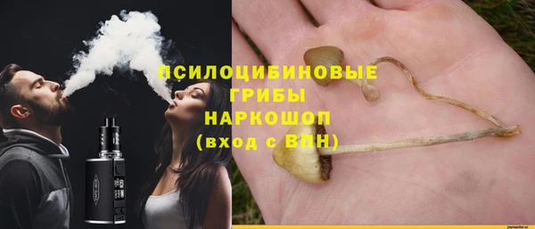 молекула духа Верхний Тагил