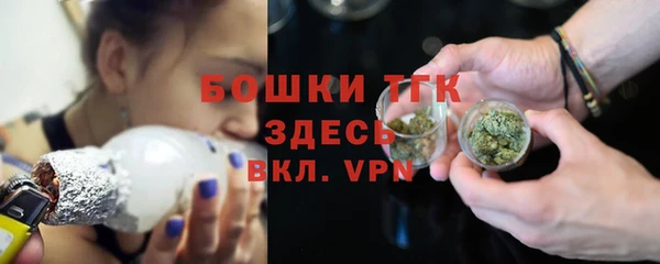 ГАЛЛЮЦИНОГЕННЫЕ ГРИБЫ Верея