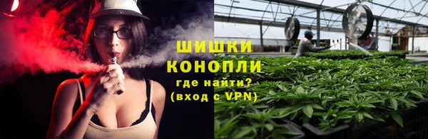 ГАЛЛЮЦИНОГЕННЫЕ ГРИБЫ Верея