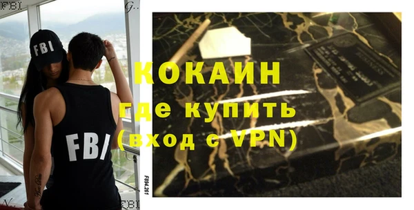 прущие грибы Бородино