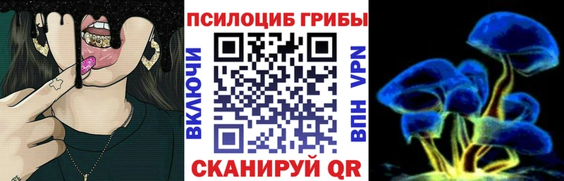 купить сайты Пикалёво Псилоцибиновые грибы GOLDEN TEACHER
